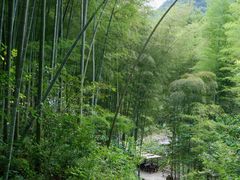 -五泄景区
