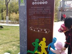 -雁滩公园