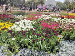 -厦门园林博览苑