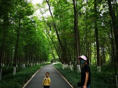 -桤木河湿地公园