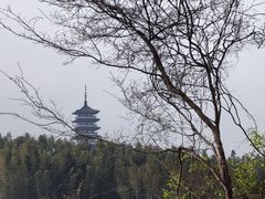 -宜兴龙背山森林公园
