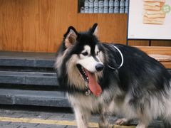 -Shiftin’浮起咖啡 (福保店)