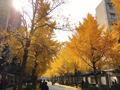-四川大学(望江校区)