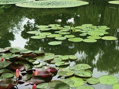 -国家植物园南园