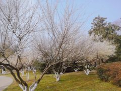 -堤角公园