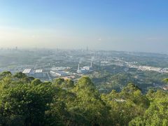 -水濂山森林公园