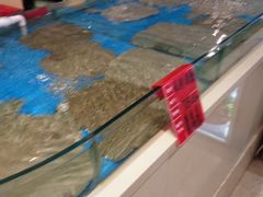-普天和酒楼·新津菜·烤鸭(天津之眼店)
