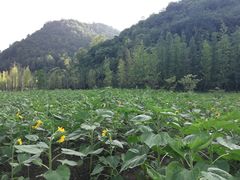 -贵阳市花溪国家城市湿地公园