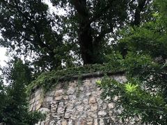 -澳门保安部队博物馆