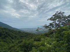 -亚龙湾热带天堂森林公园