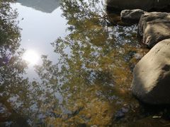 -鹿亭中村