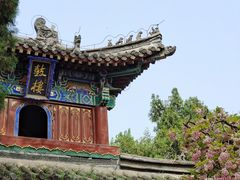 -洛阳白马寺
