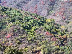 -博山九龙峪风景区