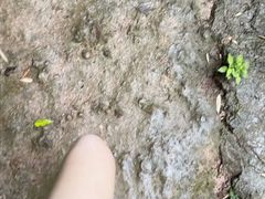 -高榜山景区
