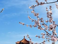 -白水寺森林公园