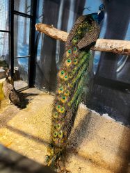 -酷嗒动物文化乐园(cutezoo西溪乐天城店)