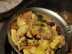-蘑界·野生菌火锅(深业上城店)