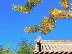 -竹子庵公园