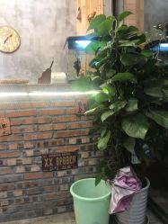 -A  Hair Salon