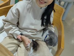 -藏猫猫咖啡主题馆(中央大道店)