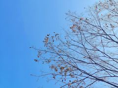 -活水公园