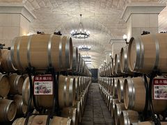 -北京张裕爱斐堡酒庄