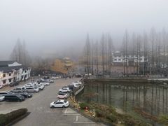 -九华山聚龙大酒店