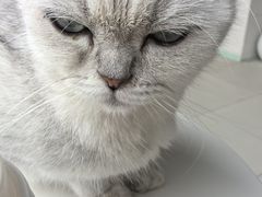 -怪兽屋·羊驼·猫咖·狗咖(俊华广场店)