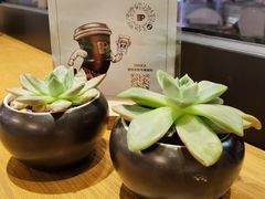 -Peet's Coffee皮爷咖啡(大学路店)