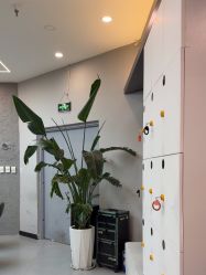 -Cima salon西玛沙龙