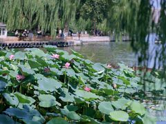 -济南大明湖景区