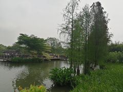-海珠湖公园
