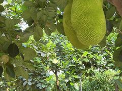 -MOJ coffee(瓯海泽雅水碓坑店)