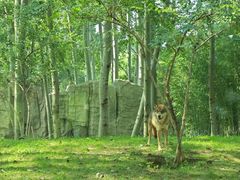 -北京野生动物园