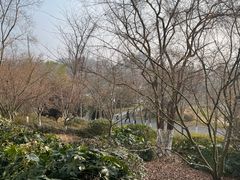 -茅山东方盐湖城景区