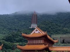 -深圳仙湖植物园