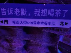 -水木谷养生水汇