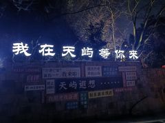 -千岛湖天屿景区