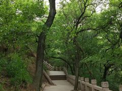 -灵岩山风景区
