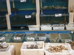 水产区-胶东海鲜大排档(北太平庄店)
