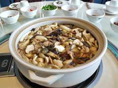 -爱膳菌锅锅(阳南店)