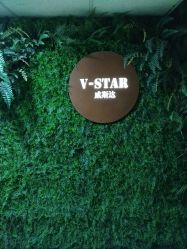 -V-STAR威斯达•高级私人定制