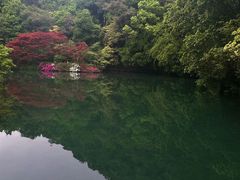 -龙井村