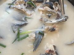 野生千岛湖鱼头-丰乐餐厅·始于1999·本地老字号