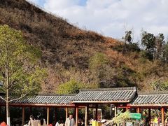 -马口生态公园