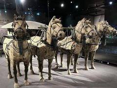 -秦始皇帝陵博物院-丽山园