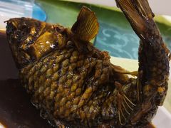 挣蹦鲤鱼-奥华餐厅·老张记(台基厂店)