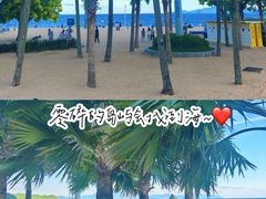 -大梅沙海滨公园