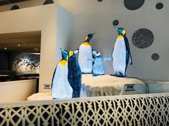 -帝企鹅自助餐厅•儿童岛•真企鹅(长隆企鹅酒店)