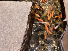 -邈墨茶馆(凤起路店)